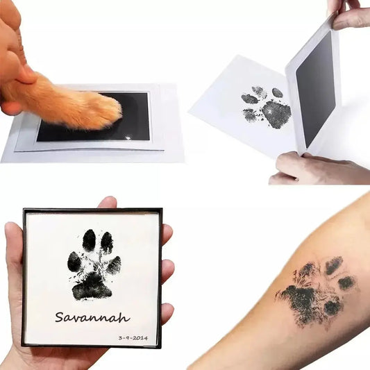 Kit d'empreinte Pour Chat