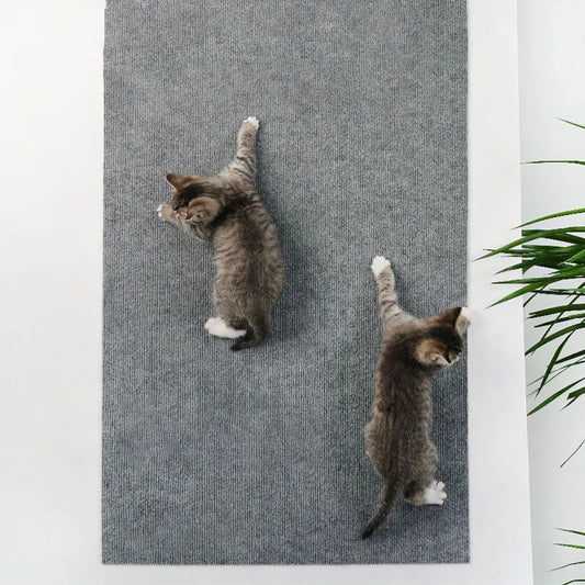 Tapis adesif de protection