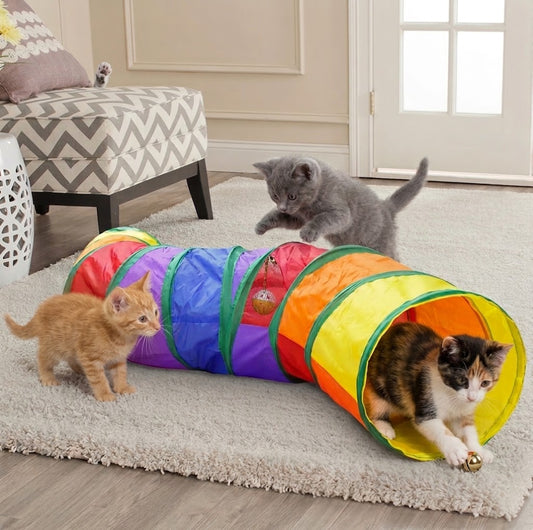 Tunnel de chat