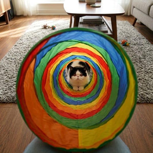 Tunnel de chat